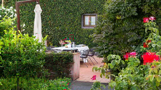 Villa Palmento La Rosa Garten