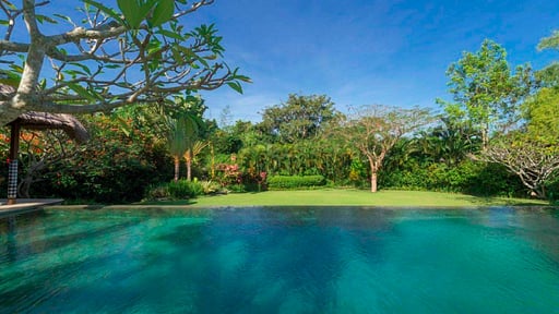 Villa Paloma Swimming pool 1
