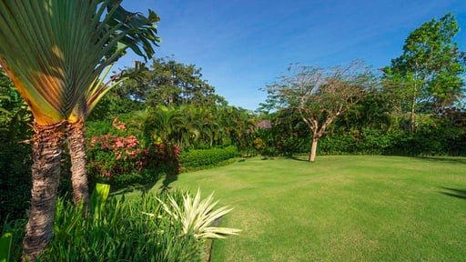 Villa Paloma Garden