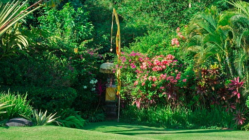 Villa Paloma Garden