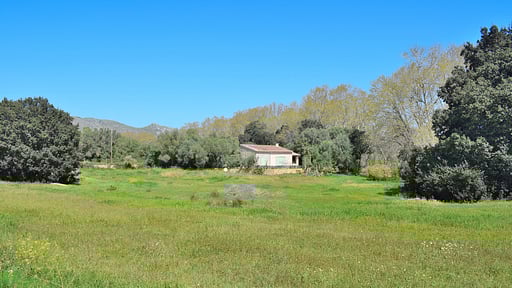 Villa Panares Jardin