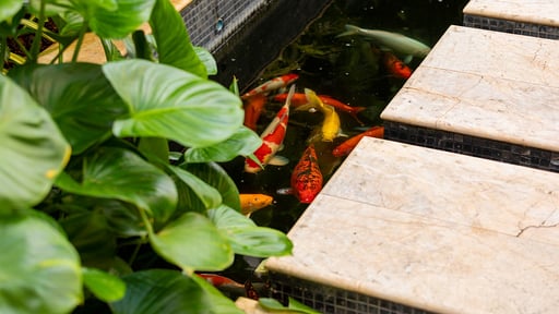 Villa Peace Прочее 