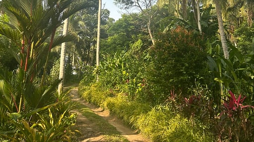 Villa Peacock Point Окрестности