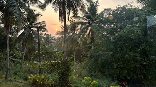 Villa Peacock Point Окрестности