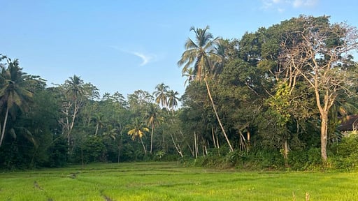 Villa Peacock Point Окрестности