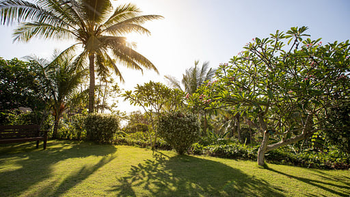 Villa Perle Garden