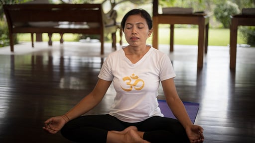 Villa Perle Yoga pictures