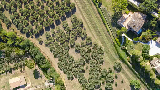 Villa Piccina Foto drone