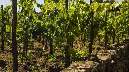 Villa Pietralava Others