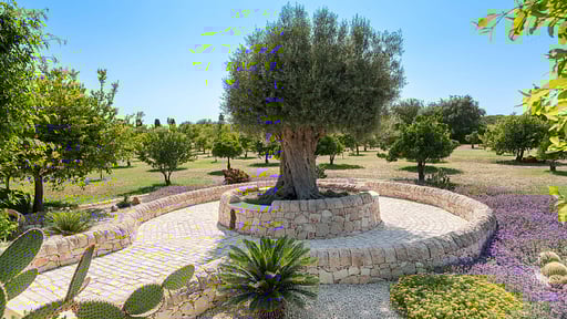 Villa Pigna Blue Autres