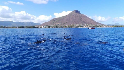 Villa Plage Surroundings