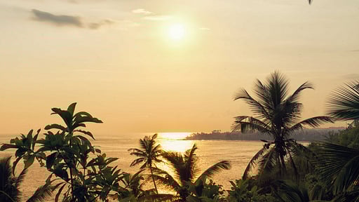 Villa Pointe Sud Others