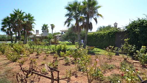 Finca Can Gamundí Others