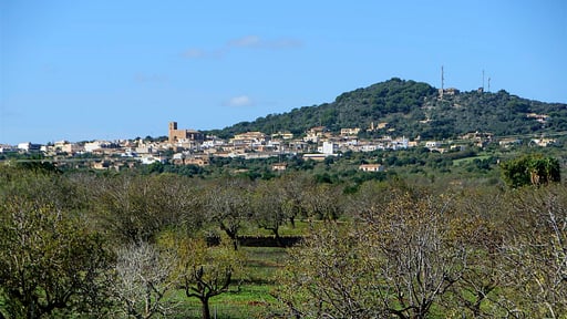 Villa Porto Colom Otros