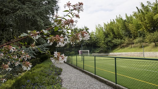 Villa Porto Felice Garden