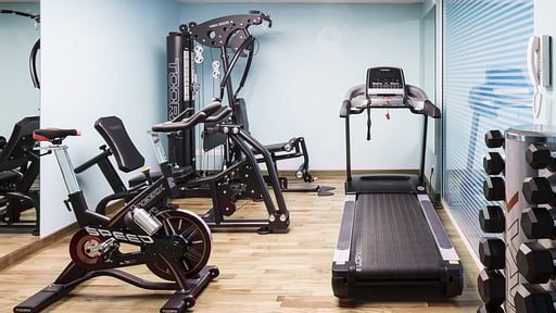 Villa Porto Felice Gym