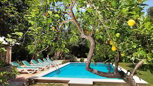 Villa Punxa Swimming pool