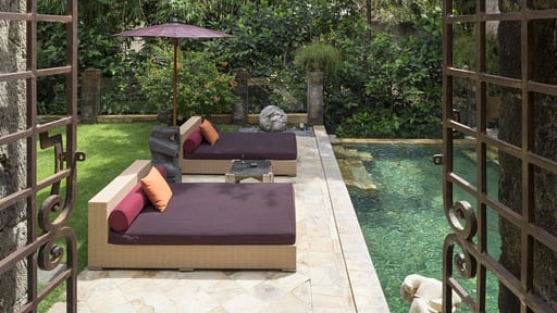 Villa Red Palms Swimming pool 1