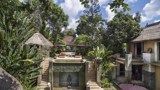 Villa Red Palms Swimming pool 2