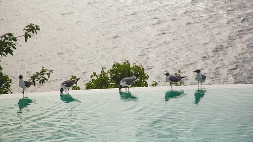 Villa Reef Point Others