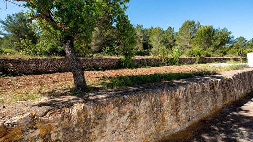 Villa Reieto Miguel Others