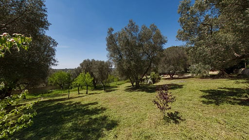 Villa Ricci Umgebung