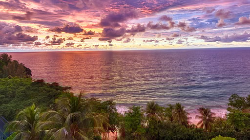 Villa Rodnaya Others