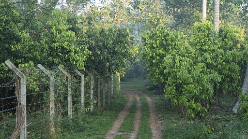 Villa Ronnaduwa Others