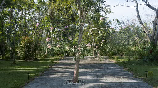 Villa Ronnaduwa Others