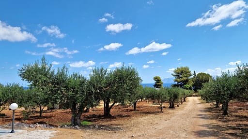 Villa Rosa Maris Others