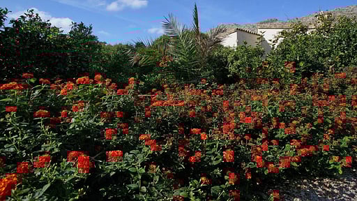 Villa Rose Camee Others