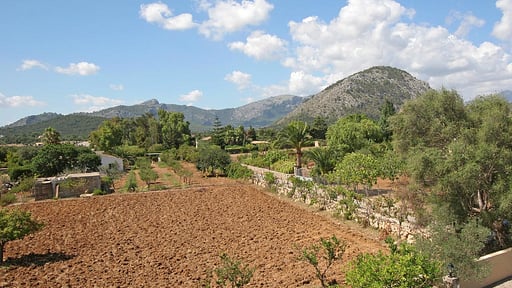 Villa Rosewood Others