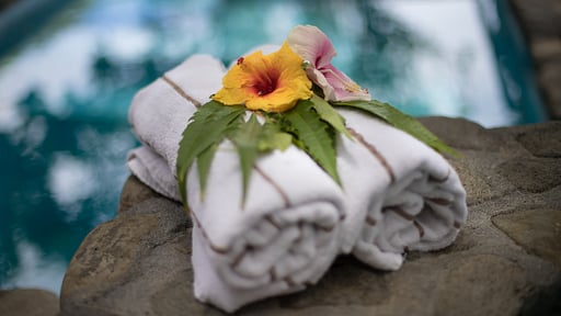 Villa Rosie Swimming pool