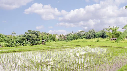 Villa Ruku Ruku Alrededores