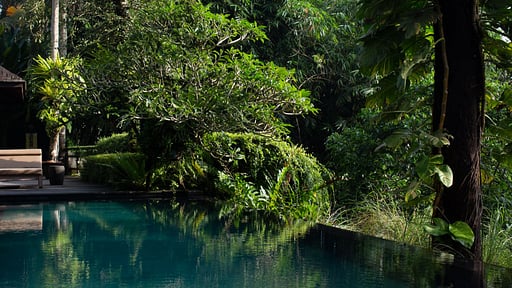Villa Rumah Hujan Swimming pool