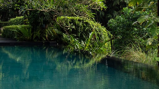 Villa Rumah Hujan Swimming pool