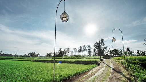 Villa Rumah Lotus Surroundings