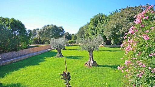 Villa Sa Pleta Petra Garden