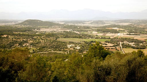 Villa Sa Pleta Petra Others