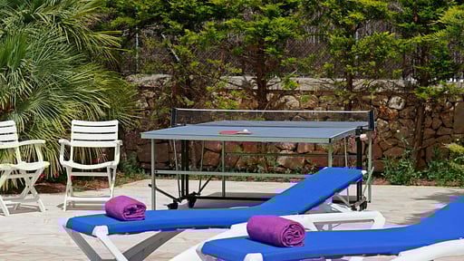 Villa Sagitaro Table tennis