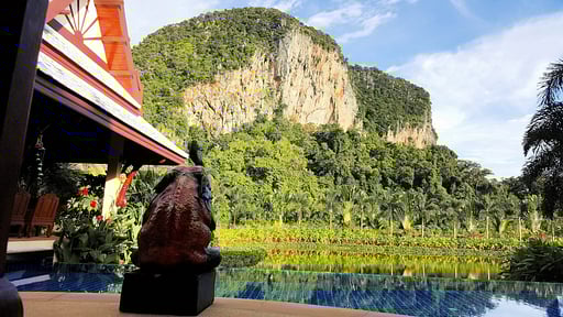 Villa Saifon Twins Swimming pool 1