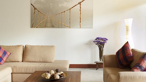 Villa Salina Media room