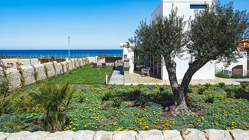 Villa San Lorenzo - Lavanda Others