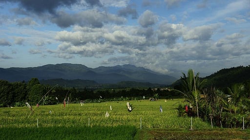 Villa Sanak Surroundings