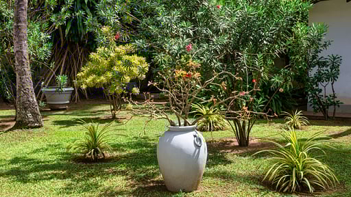 Villa Sanasuma Others