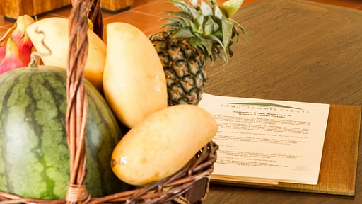 Villa Sapparos Others