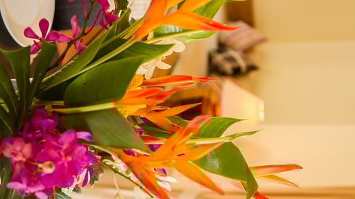 Villa Sapparos Others