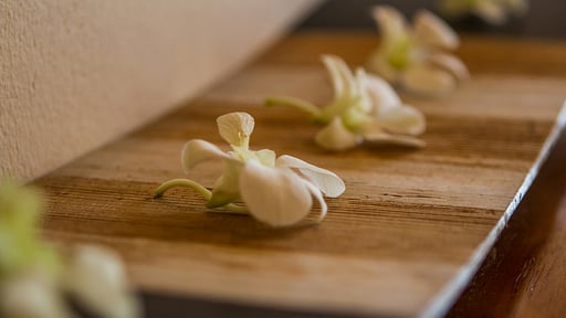 Villa Sapparos Others