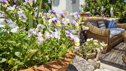 Villa Scarnera Salon