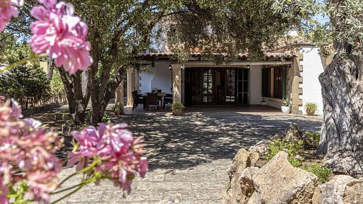 Villa Seashell Others